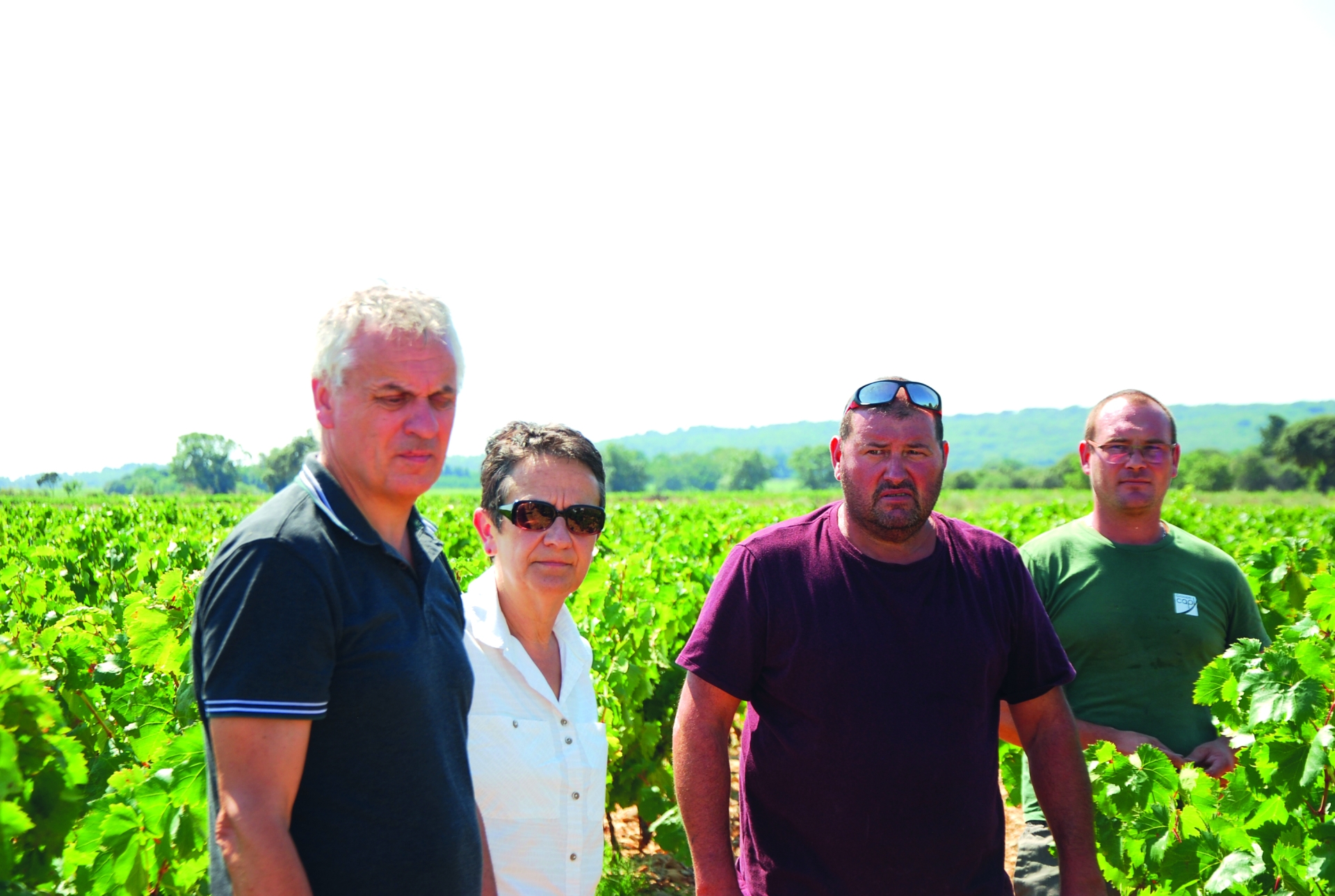Gel d’avril :  les vignes du Sud-Drôme très impactées