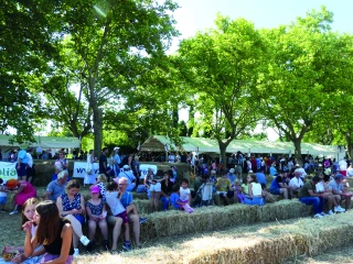 Fête de l’Agriculture : un retour réussi !