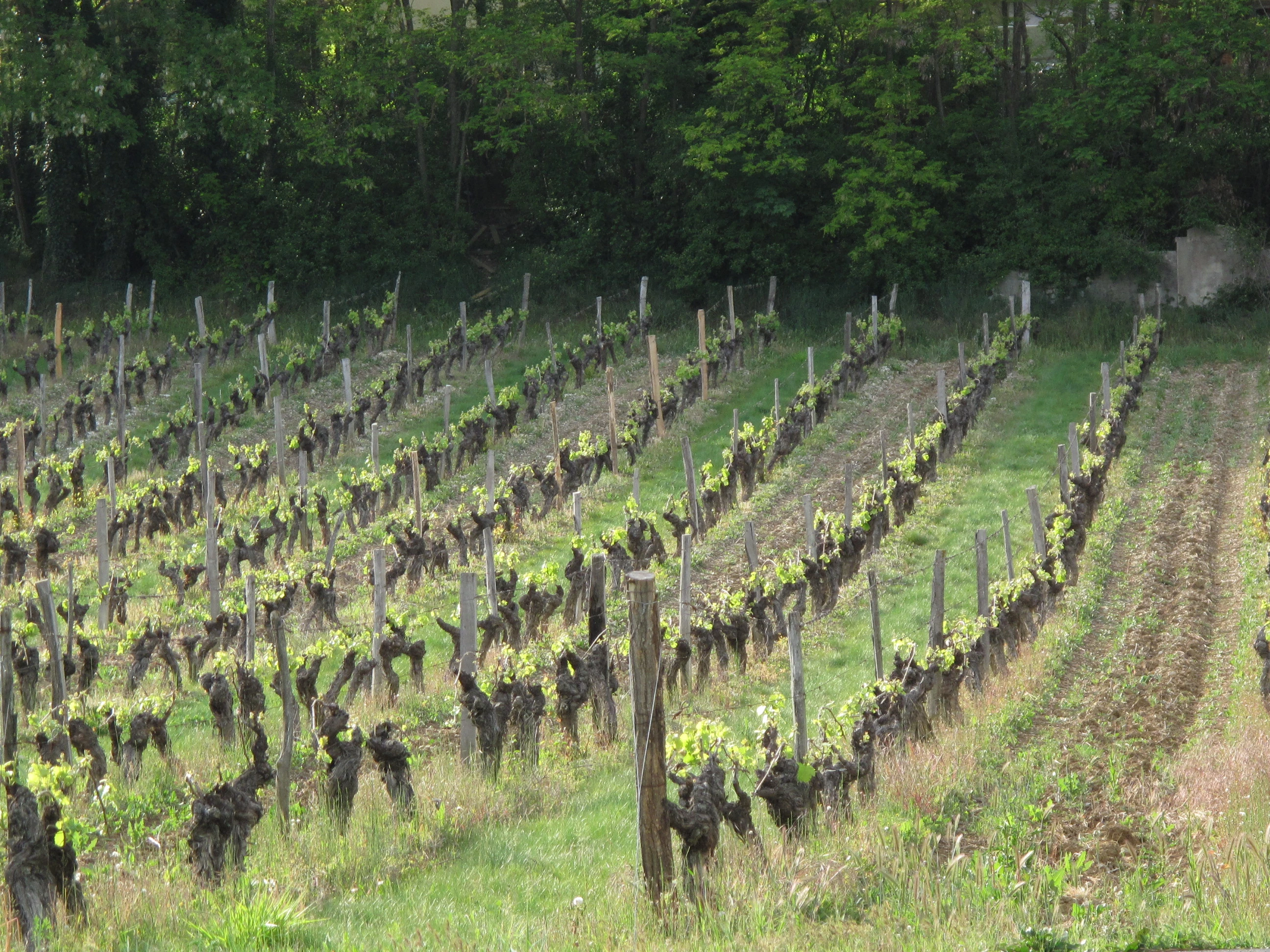Repères