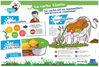 Une charte d’avenir bovin lait pour susciter  de nouvelles vocations