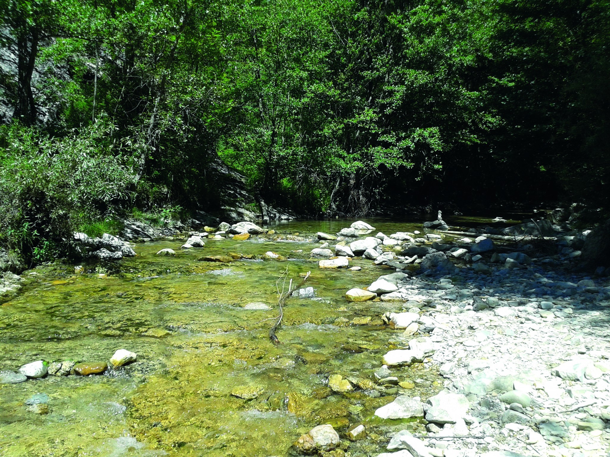 Les bassins du Lez et de la Berre en alerte