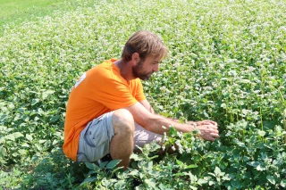 Tech&Bio -> Des démonstrations de fauchage andainage