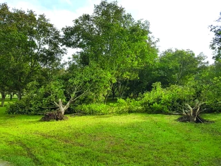 Des dégâts à déplorer  en Drôme et Ardèche