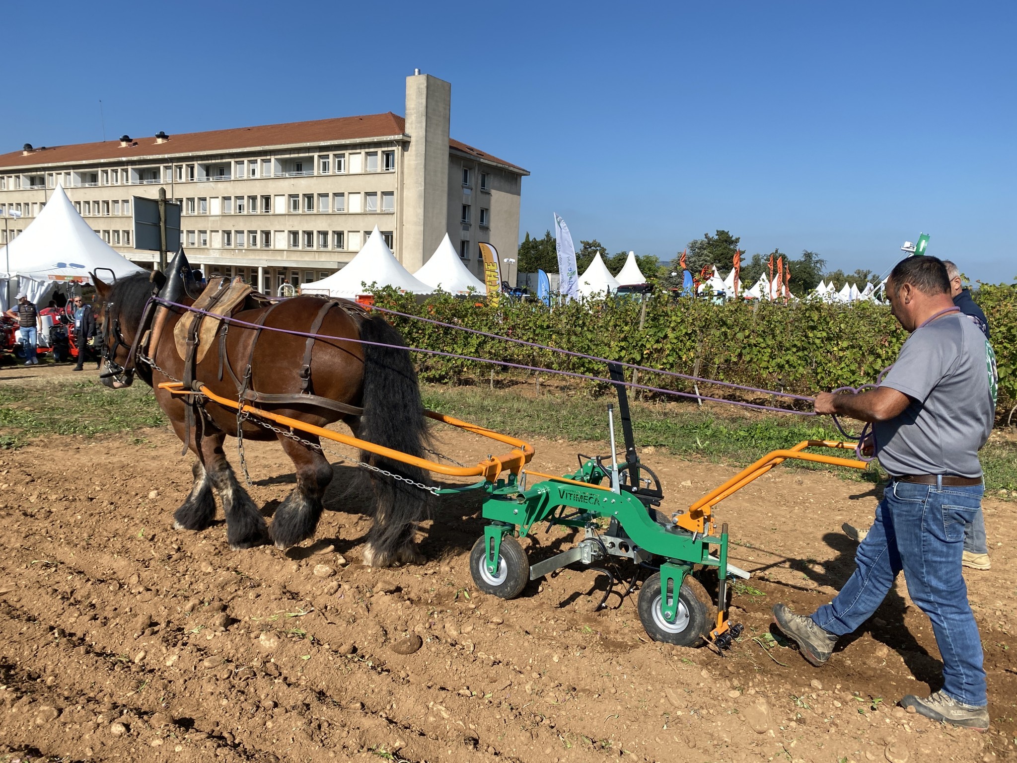 Porte-outils Le Pyrénée en traction animale