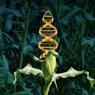 L’agriculture biologique contrainte de changer de paradigme