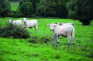 Histoire d’une conversion  à l’agriculture biologique réussie