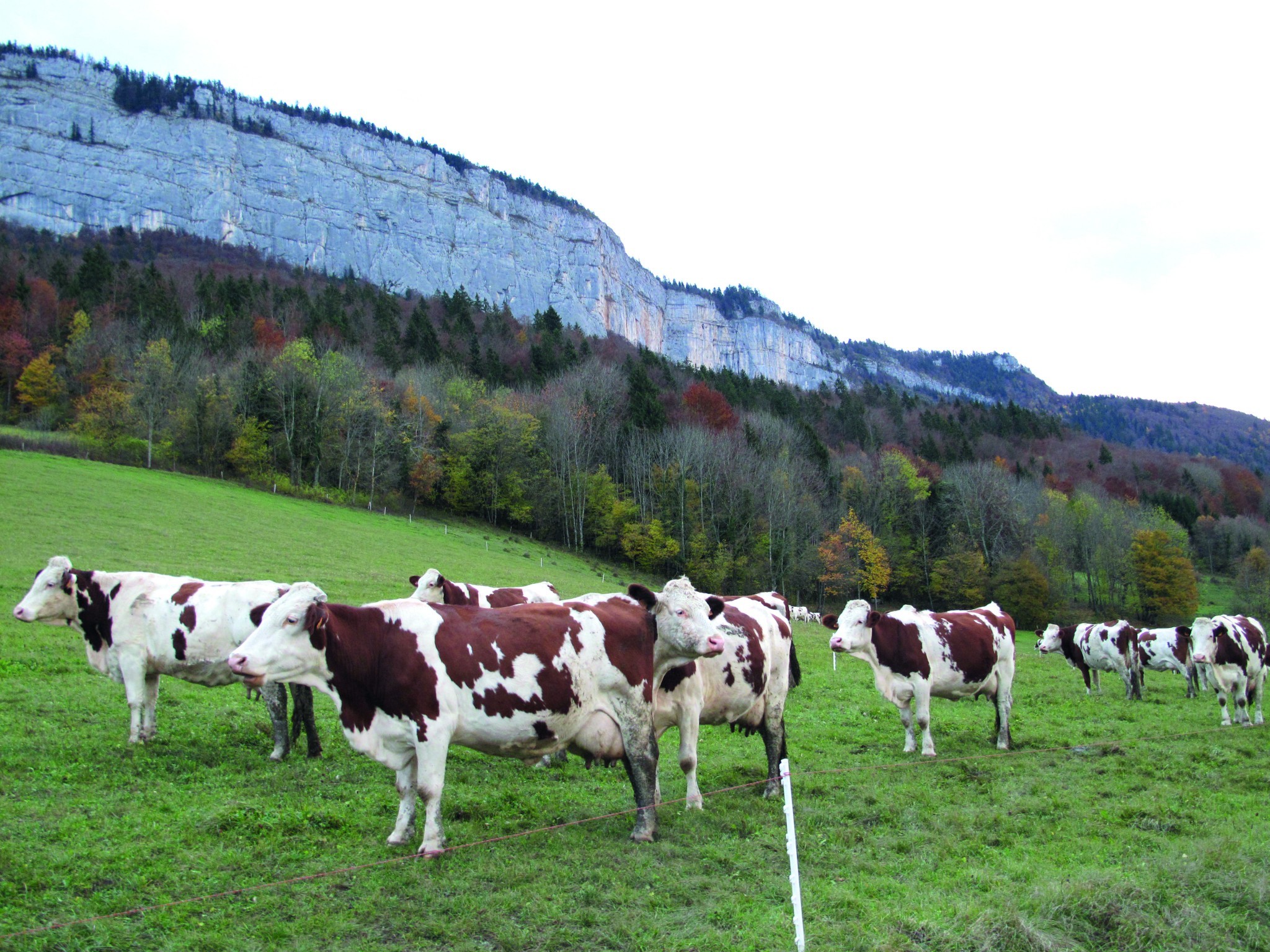 Fermes laitières du Vercors : des euros et du temps de travail