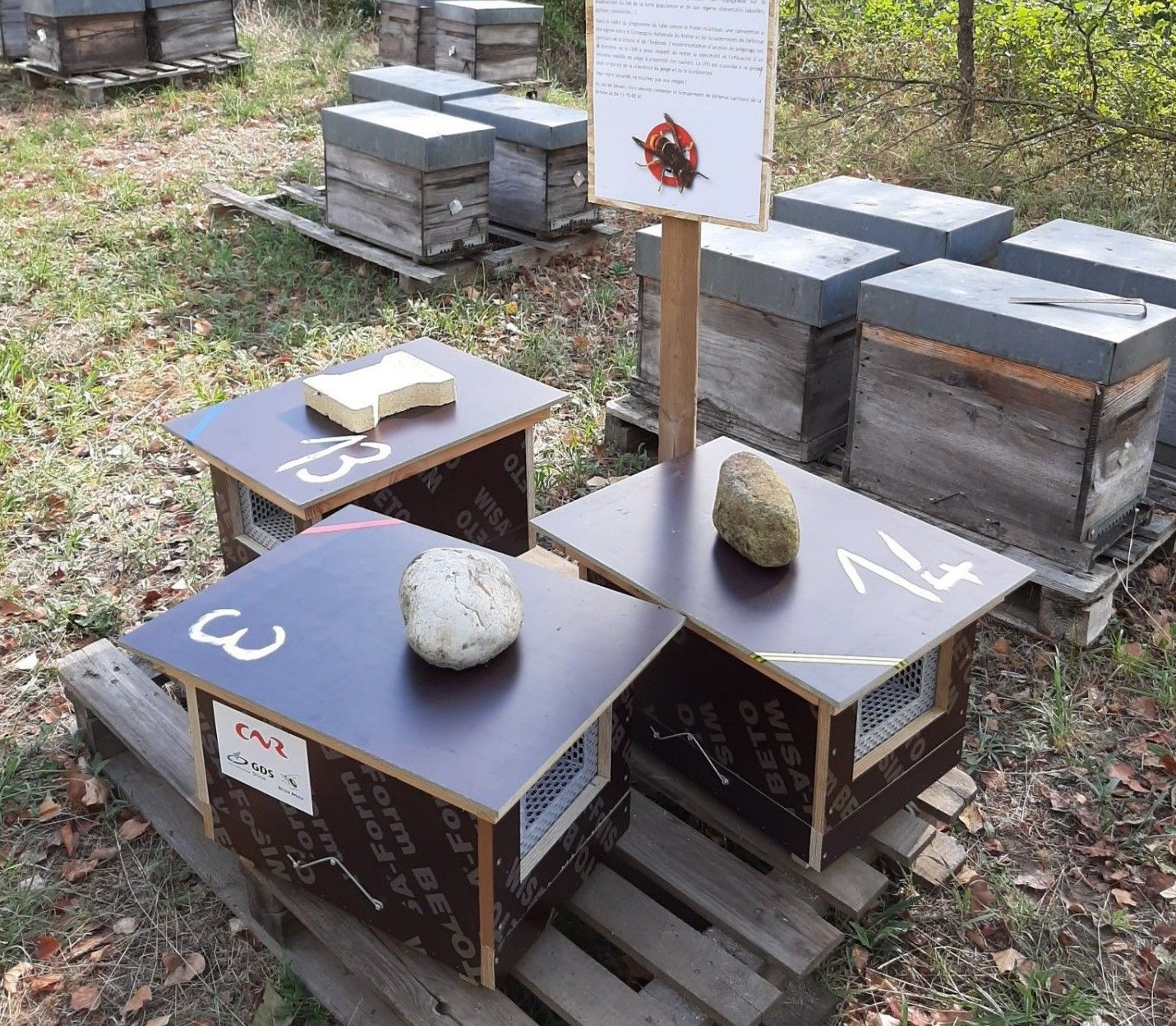 La section apicole du GDS de la Drôme agit au quotidien
