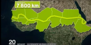 Cop 26 : la Grande muraille verte sur les rails