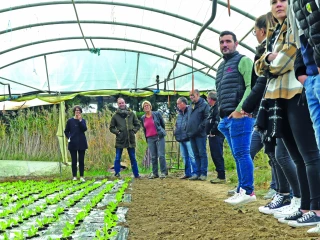 L’EARL du Noyer de la Dame,  entre transmission et diversification