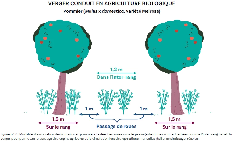 Le dispositif epérimental