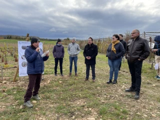 Sur la piste de la vigne du futur