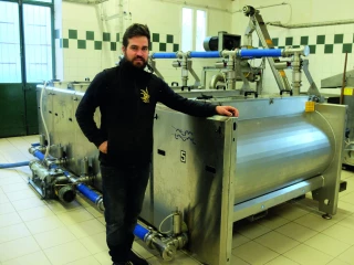 Une olivaison au beau fixe  sur l’AOP Nyons-Baronnies
