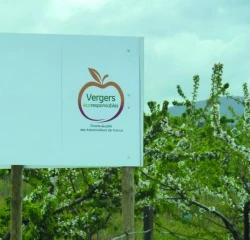 Pêches et abricots de France lance "l’AOP du futur"