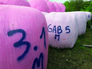 Complémenter l’enrubannage  avec de la vitamine B1