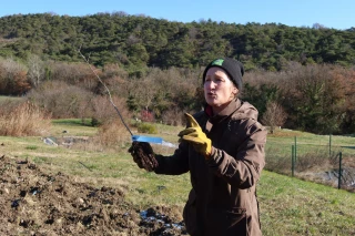 « Les haies sont des alliées de l’agriculture »