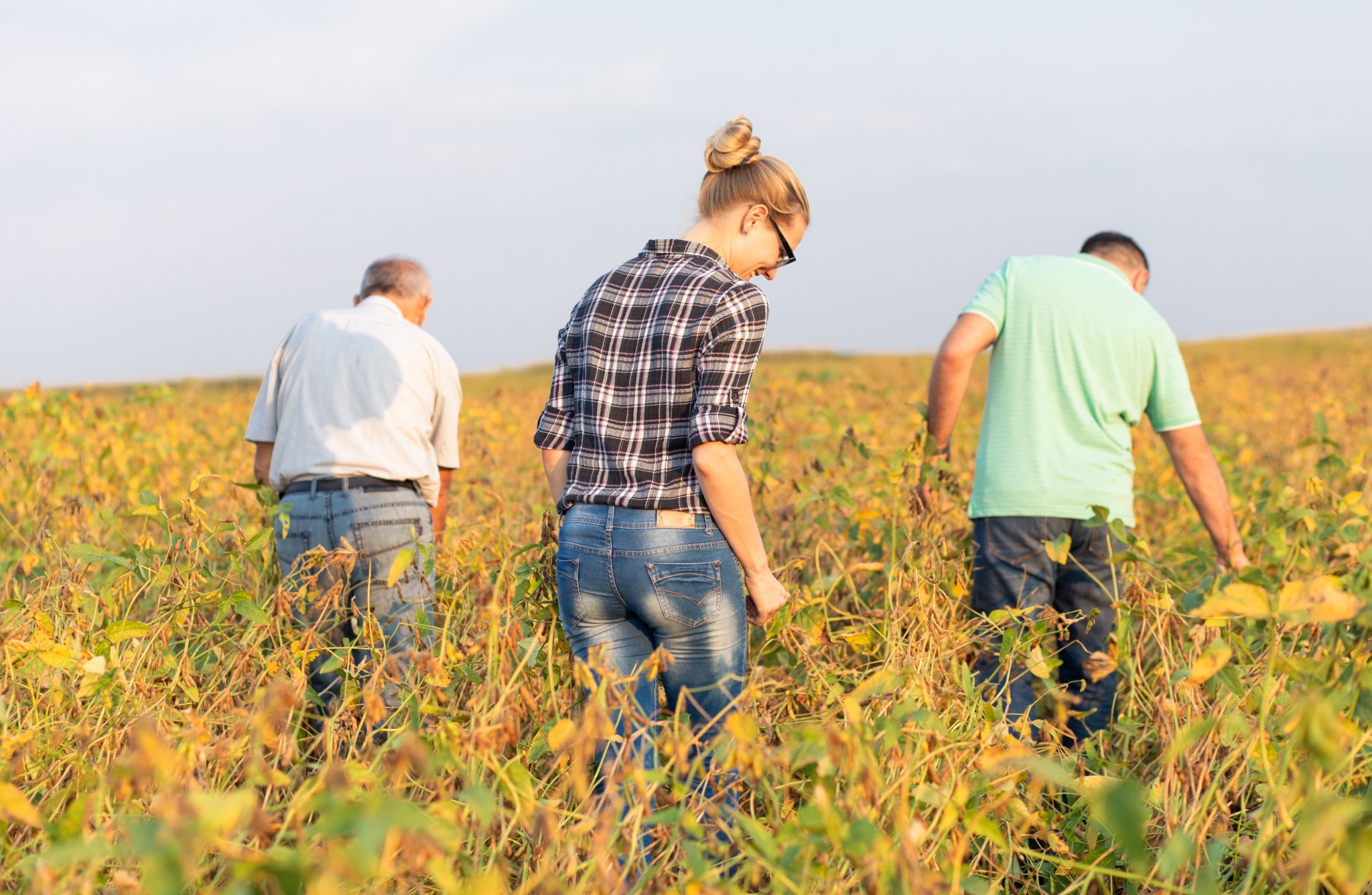 Définition de l'agriculteur actif : le ministère met deux exemptions sur la table