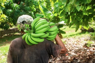 Cancer de la prostate : création d’un tableau pour les maladies professionnelles