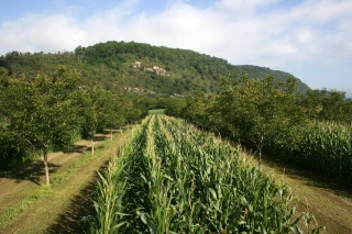 Mesure 4.13 du PCAE : dépôt des dossiers avant le 30 juin