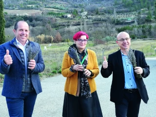Le Parc des Baronnies provençales en soutien à la filière lavandicole