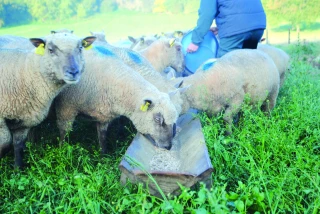 La forme minérale avec le meilleur rapport qualité/prix