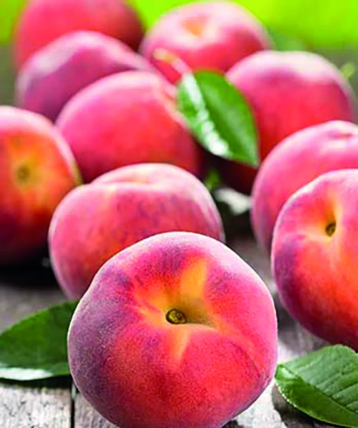 Pêches et nectarines : une production française historiquement basse