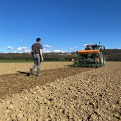 Pois chiches : des surfaces recherchées