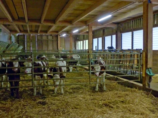 « Une nouvelle ère pour renouveler l’air des bâtiments »