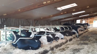 Face au changement climatique, optez pour le modulable
