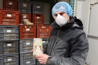 Des pâtes pour sécuriser le revenu