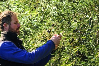 Raphaël Correard : l’irrigation, la plus-value de son exploitation
