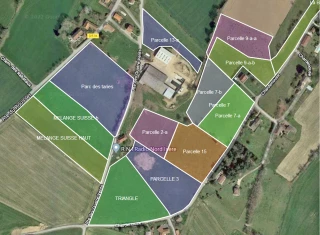 Troupeaux à l’herbe :  le retour en « grass » !