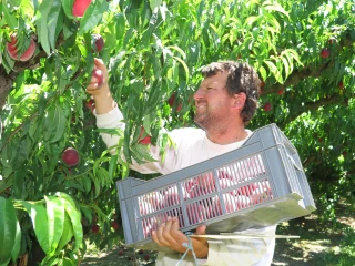 Régis Aubenas : « La charge mentale  des producteurs est forte »