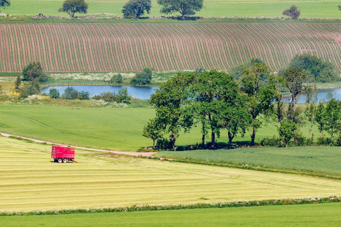 Sondage : l’agroécologie plébiscitée par les Français