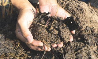 L’agriculture de conservation des sols face aux changements climatiques
