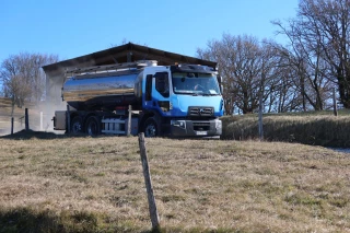 Le plus petit effectif de vaches laitières de la région 