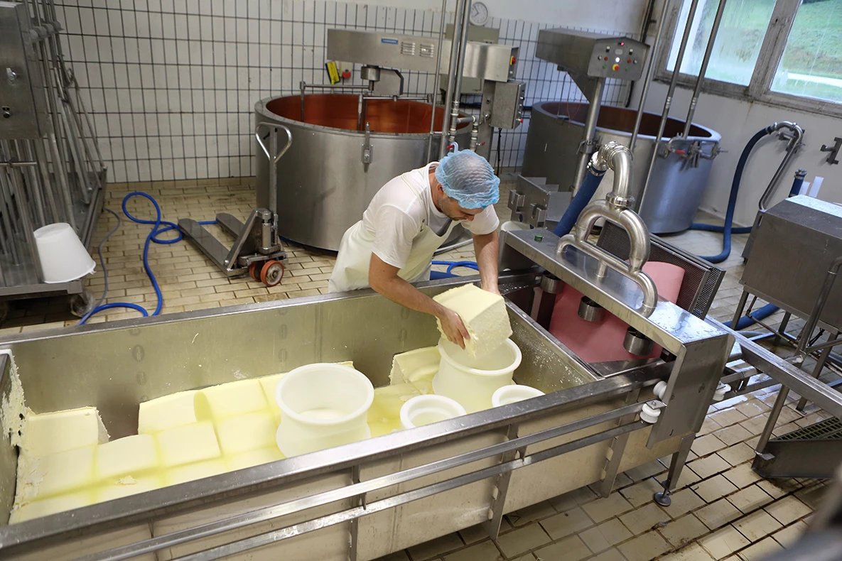Vercors Lait : Intégrer les surcoûts d’une production en zone de montagne