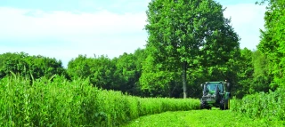 Les prairies semées  sous couvert de méteils