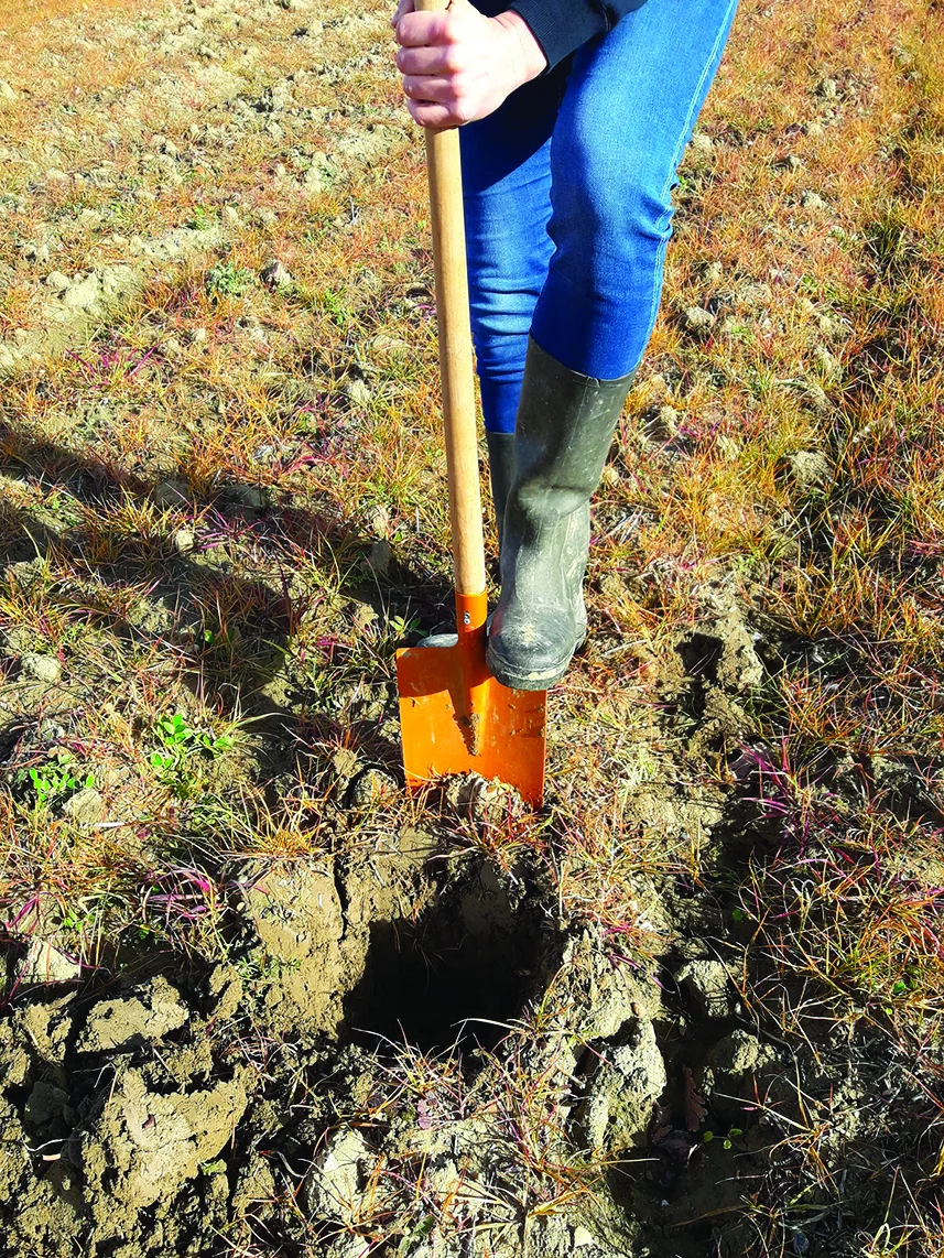 Pratiquer des tests bêches pour aider à la décision