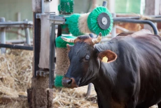 Une charte des bonnes pratiques pour le bien-être animal