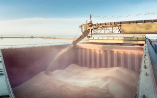 Céréales : La France démunie ?