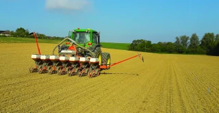 Tournesol : un semis soigné est le gage d’un bon départ