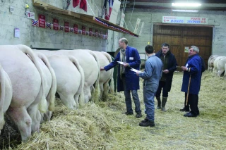 Le comice de Feurs (Loire) du 25 au 28 mars