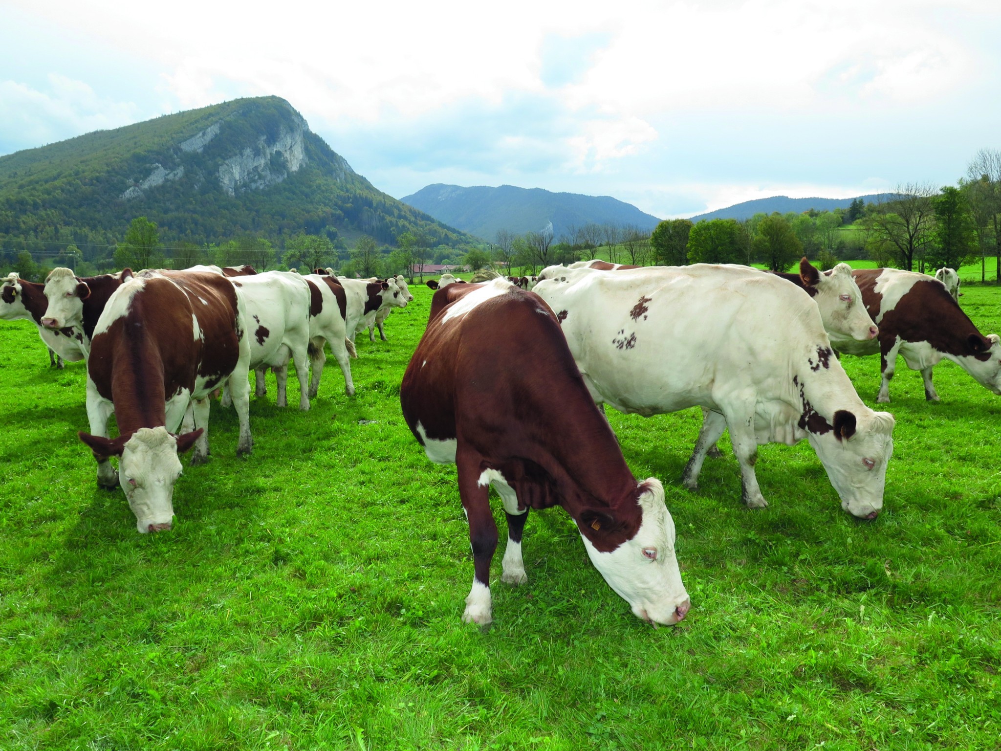 Evolution climatique : réfléchir au Vercors de demain