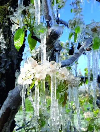 Gel : Le Sud-Ouest très touché