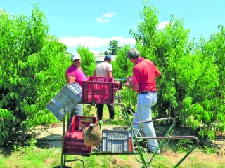 Un chantier de longue haleine ouvert pour l’emploi en agriculture