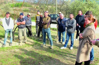 Dans les Baronnies, quatre longues nuits de combat contre le gel