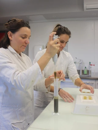 Parasit’Lab : des analyses vétérinaires au service de la santé animale