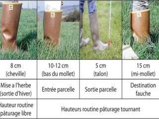 Gestion des paturages : quels outils pour aider et accompagner les éleveurs ? 