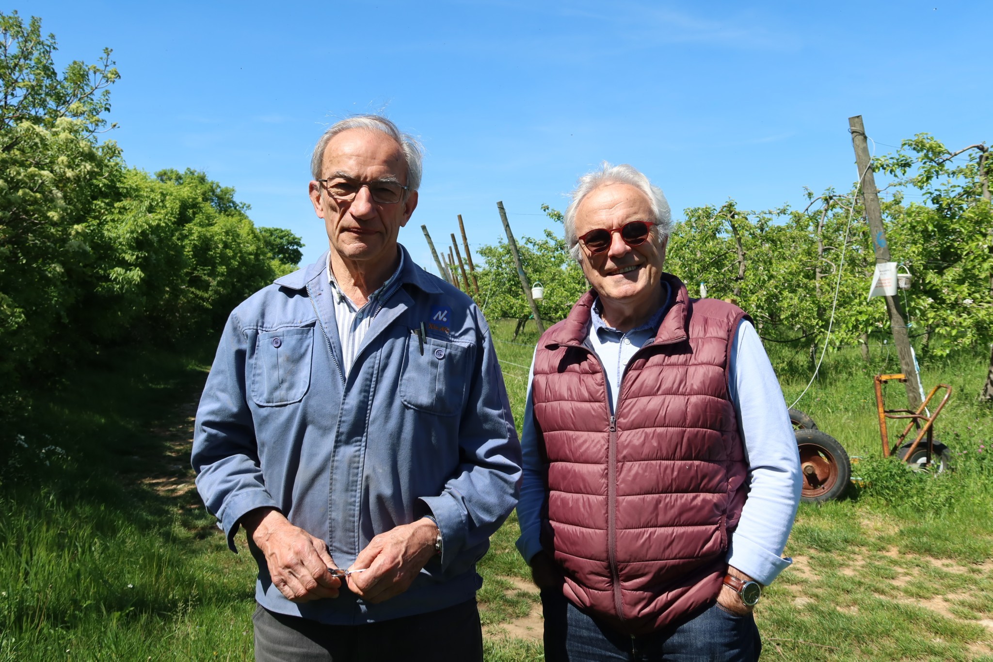 « Contre le varroa, agissons de manière efficace »